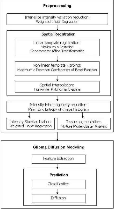 Figure 2. Overview of CDM framework. The framework of the proposedmodel, CDM, consists of two main components: the preprocessing of theMRI scans and the prediction of glioma growth.