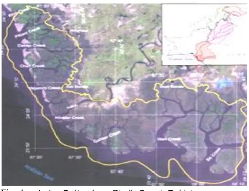 Fig. 1  Indus Delta along Sindh Coast, Pakistan  