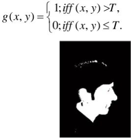 Fig. 3(b).   Extracted Gray Scale image 