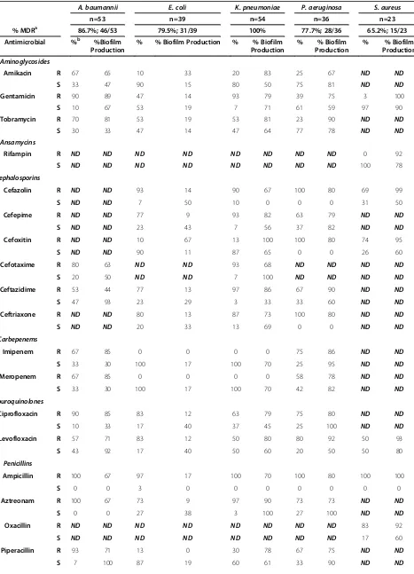 Table 2 Biofilm formation and antimicrobial resistance in clinical isolates