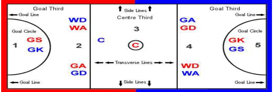 Figure 5.1: The Netball Field 