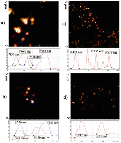 Figure 2 AFM phase or topographic images and their corresponding surface profile of the selected section