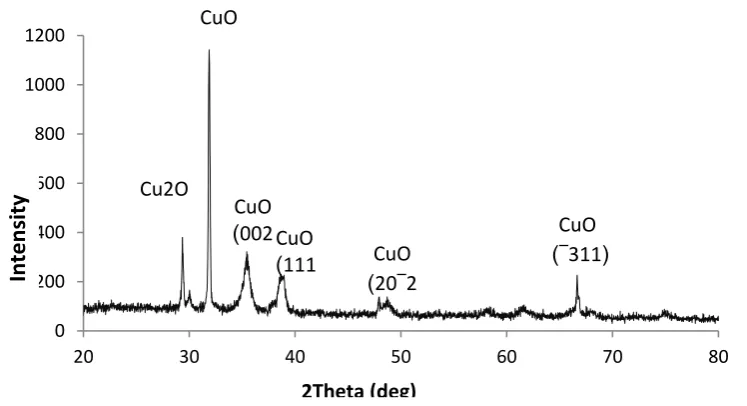 Fig. 1. XRD pattern of CuO thin film at as prepared 