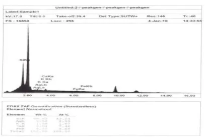 Figure 21 - Tile Body Building Compounds by SEM Analysis System   