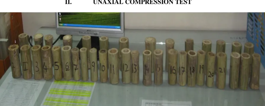 Fig. 1 Specimen no. 1 to 50 for uniaxial compressive test 