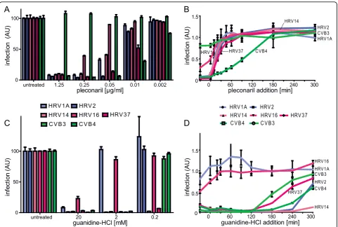 Figure 4 Formation of dsRNA replication centers can be inhibited by pleconaril or guanidine-HCl