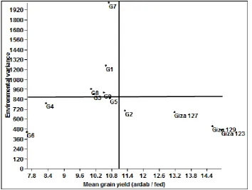 Figure 3. Grain yield averaged over 8 environments and coefficient of variation in 12 barley genotypes.