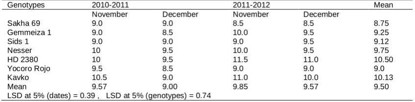 Table 4. Effect of sowing dates and seasons on final leaf number of wheat genotypes at anthesis during 2010/2011 and2011/2012 seasons.
