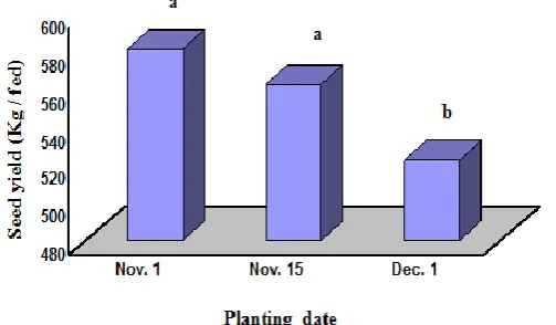 Fig. 1. Mean productivity (seed yield in kg/fed) under the three planting dates. Columns with the same letter are not  significantly different at P=0.05 according to LSD test