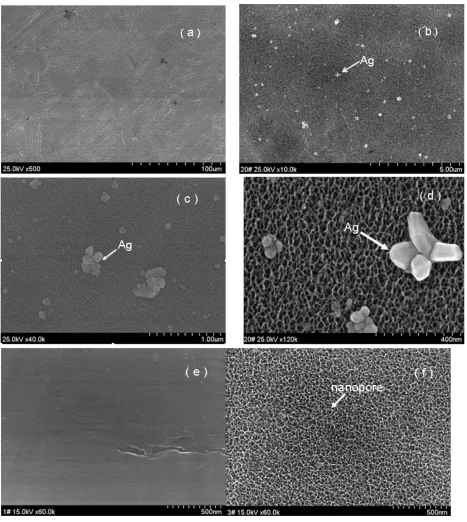Figure 2 Morphological characterization of Ti-Ag surface. SEM micrographs show Ti-nAg surface at different magnifications: (a) ×500; (b) ×10000; (c) ×40000; and (d) ×120000