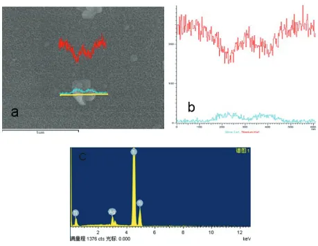 Figure 3 Line scanning of eDs image of the particle on the Ti-nAg surface.Notes: The green line stands for Ag and the red line stands for titanium.Abbreviations: eDs, energy-dispersive spectroscopy; Ti-nAg, silver nanoparticle-modified titanium.