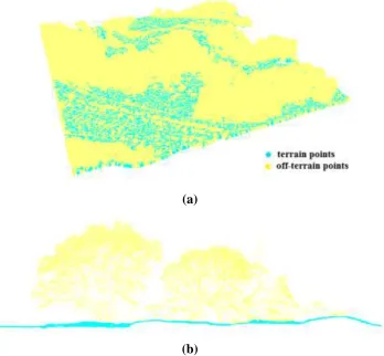 Fig. 3. ALS point cloud classification (a) 3D view of the classified points, (b) profile view 
