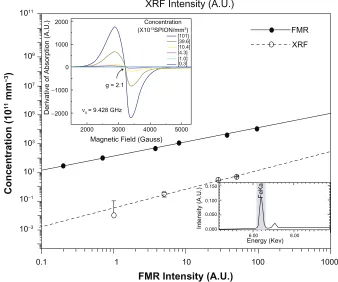 Figure 1 FMR (solid line) and XRF (dashed line) calibration curves of the sPIONs related to the area under the resonance line at g = 2.1 and the characteristic FeKa line, respectively