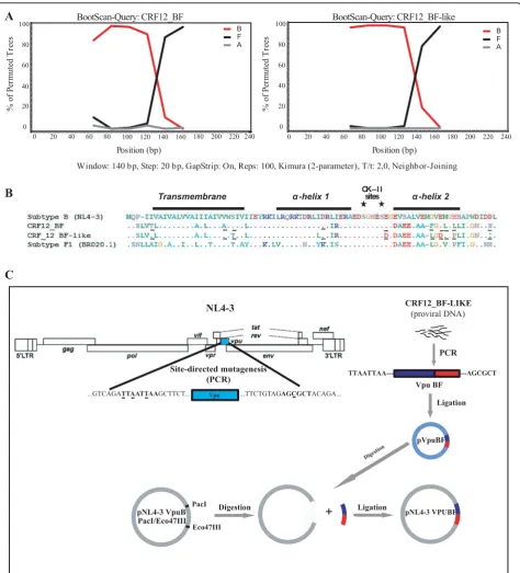 Figure 1 Structural analysis of BF intersubtype recombinant Vpu (A and B) and schematic representation of chimeric viral genomeconstruction (C) A