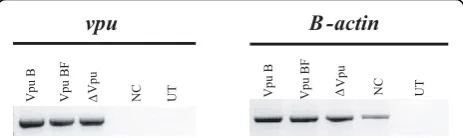 Table 1 Comparative analysis of amino acid differences between subtype B and CRF12_BF-like variants