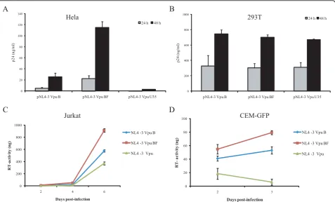 Figure 3 HeLa (A) and 293T cells (B) were transfected with plasmids pNL4-3 VpuB, pNL4-3 Vpu BF, and pNL4-3 ΔVpu, separately