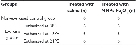 Table 1 Number of mice in each group for the study of the MNPs-Fe3O4