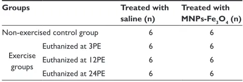 Table 1 Number of mice in each group for the study of the MNPs-Fe3O4