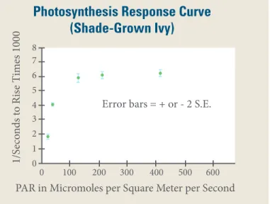 Figure 5. Photosynthesis Response Curve