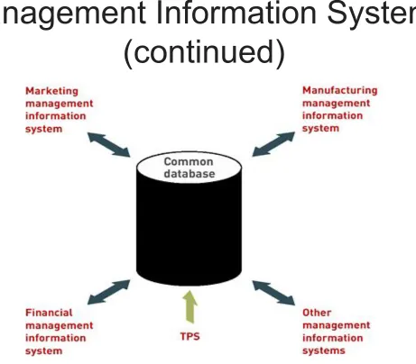 Figure 1.12: Management Information System