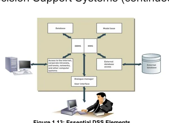 Figure 1.13: Essential DSS Elements