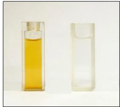 Fig.1: Fe3which are prepared by chemical method and the O4 freshly colloidal nanoparticles(left) solution(right) 