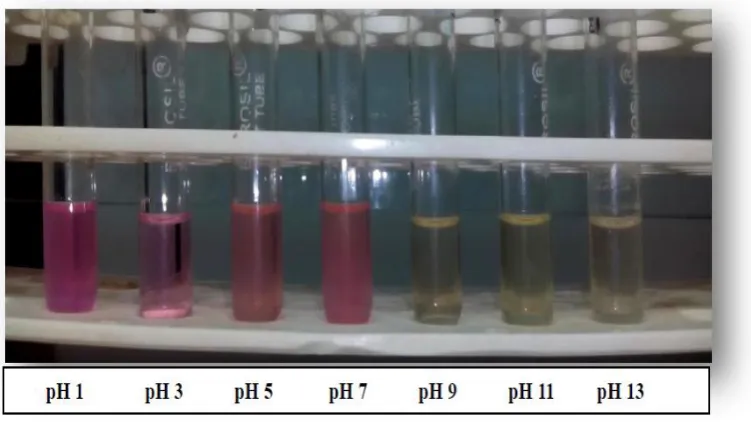 Fig. No. 8: Stability of Prodigiosin to pH. 