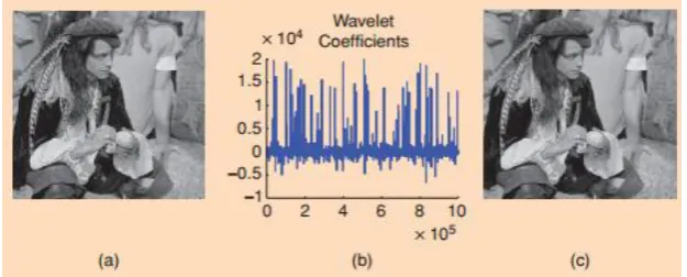 Figure 3: Sparsity and incoherence in wavelet transform enables the megapixel image to  its approximation obtained by throwing away 97.5% of the coefficients with negligible perceptual loss