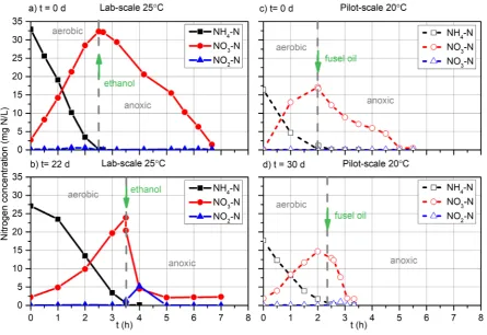 Figure 3. AUR (a) and NUR (b) measurements during the lab- and pilot-scale experiments