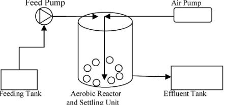 Table 1. Acronyms of Alkylphenol Ethoxylates and their derivatives