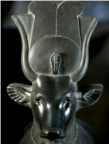 Fig. 14: Cow head from Tut's tomb.[31]           