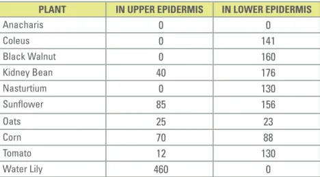 Table 1. Average Number of Stomata per Square Millimeter (mm 2 )  of Leaf Surface Area