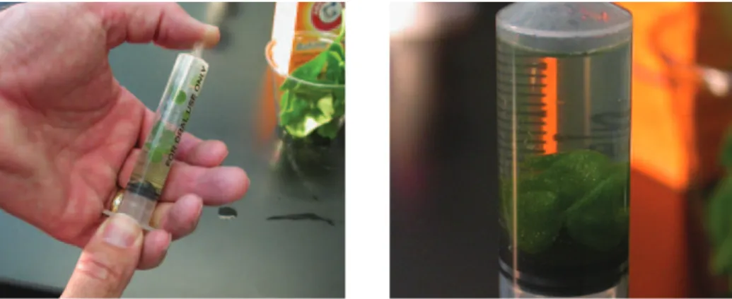 Figure 7a. Cup Under Light Source Figure 7b. Disks Floating in Cup with  Bicarbonate Solution