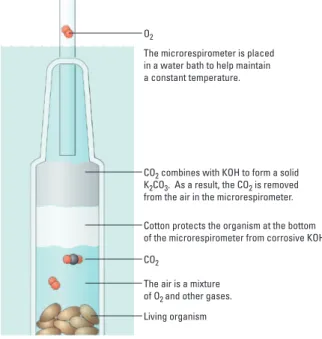 Figure 6 shows how the microrespirometer works.