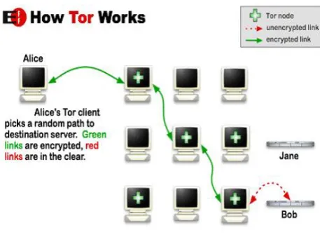 Fig 1.2: Working of Tor. 