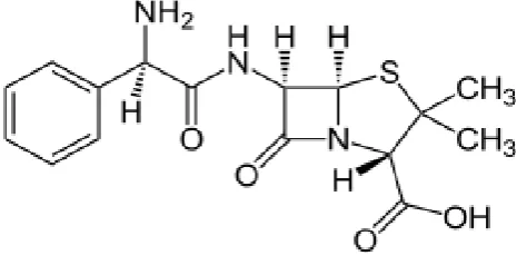 Figure 1: Ampicillin structure. 