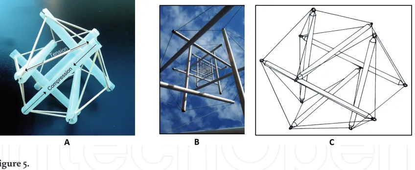 Figure 5. Tensegrity structures. A. Model showing elements of continuous tension and discontinuous compression
