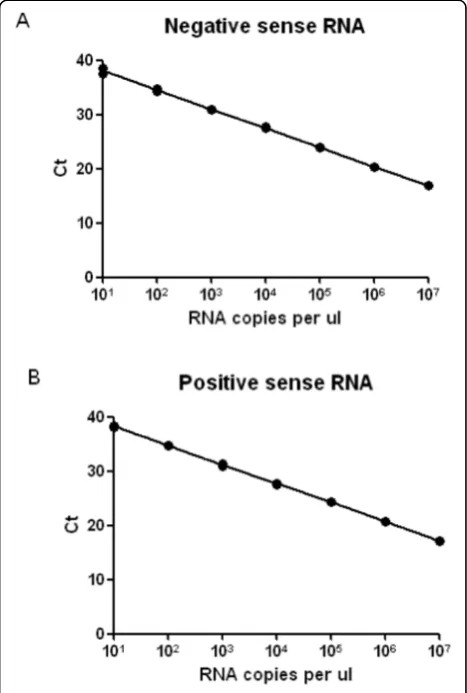 Figure 1 An RSV strand-specific QPCR method. Strand-specificpriming was performed during cDNA synthesis and QPCR wasperformed using a primer/probe set designed to amplify part of thenucleocapsid region