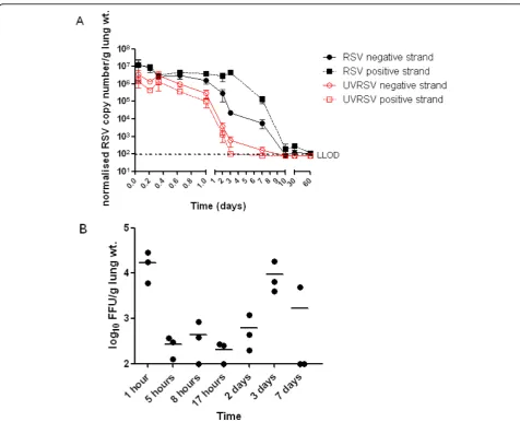 Figure 2 RSV infection and replication in BALB/c mouse lungsof UV-inactivated RSV. Three mice per treatment were sampled at 1, 5, 8, 24, 48 and 72 hours and after 7, 10, 37 and 59 days post-infection