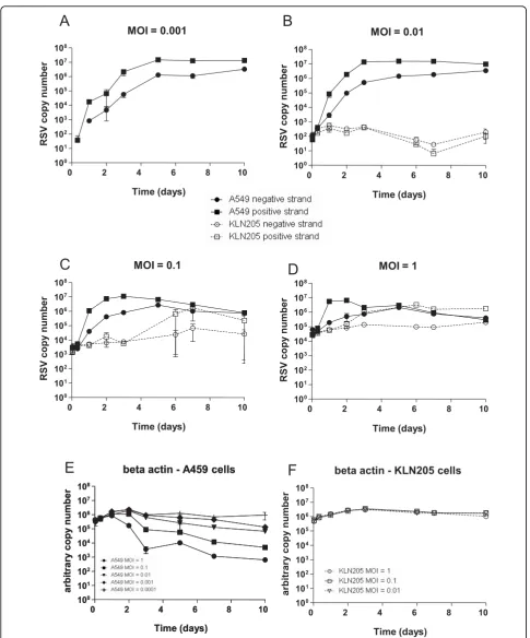 Figure 4 RSV RNA synthesis in human and mouse cell linesexpressed as arbitrary copy number, was measured by QPCR from E) A549 or F) KLN205 cells treated with RSV A2 at the MOIs shown