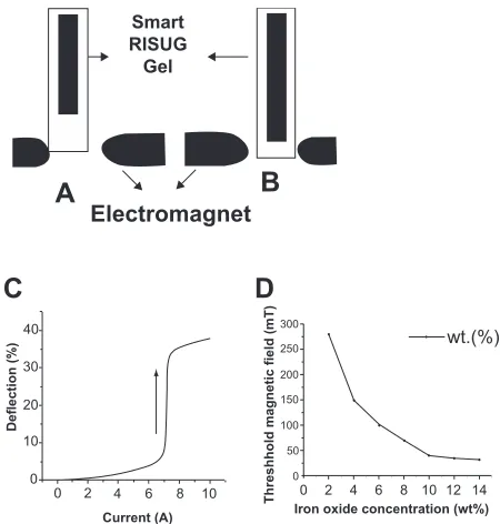 Figure 5 Response of Smart RISUG. A) No magnetic ﬁ eld. B) Electromagnet at the lower end caused Cuproferrogel elongation