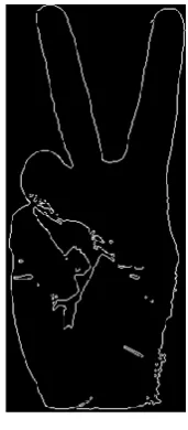 Figure 5: Concept of Discrete Wavelet Transform.[12] 