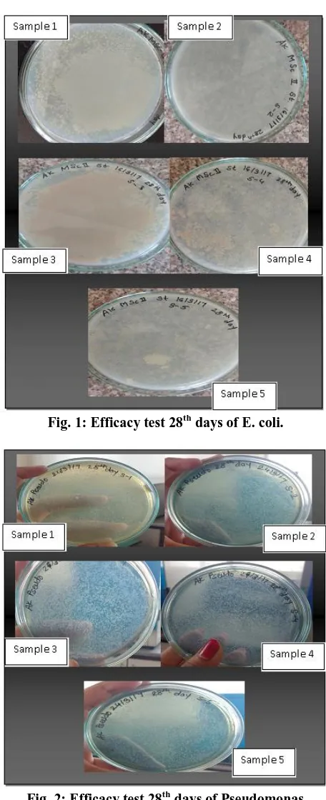 Fig. 2: Efficacy test 28th days of Pseudomonas 