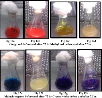 Fig 12a                       Fig 12b                             Fig 12c                        Fig 12d  Congo red before and after 72 hr Methyl red before and after 72 hr