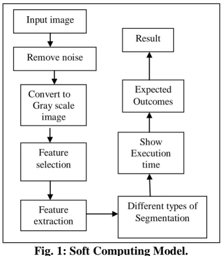 Fig. 1: Soft Computing Model. 