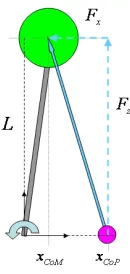 Fig. 2.When only applying ankle torque, the ground reaction force pointsfrom the center of pressure (CoP) to the center of mass (CoM), creating zeromoment about the CoM.