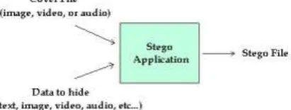 Figure 4: Steganography. 
