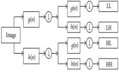 Figure 5: Discrete wavelet transform. 