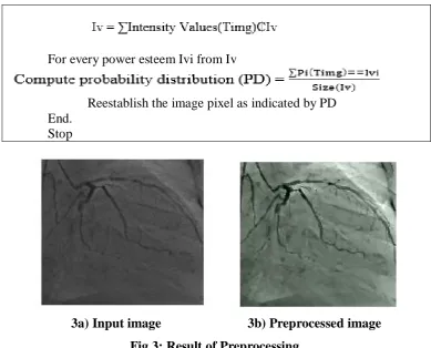 Fig 3: Result of Preprocessing. 