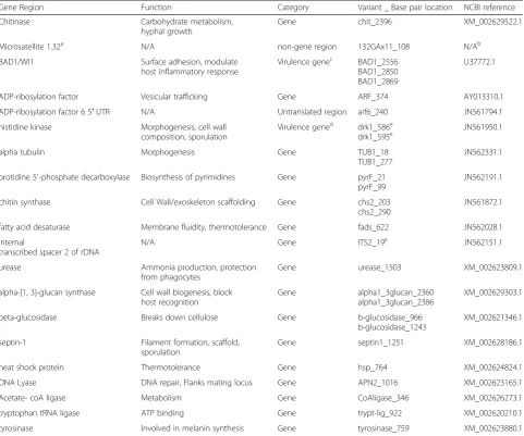 Table 1 Single nucleotide polymorphisms (SNPs) included in the genotyping panel